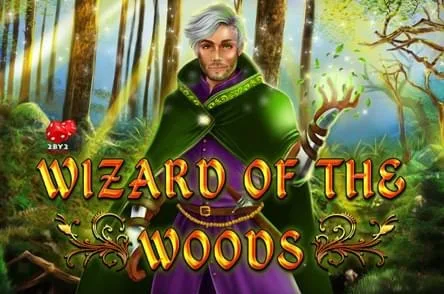 Wizard of the Woods by 2 By 2 Gaming game artwork